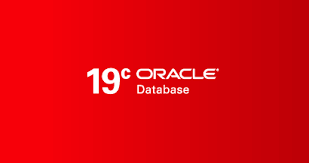Migración de bases de datos a Oracle 19c